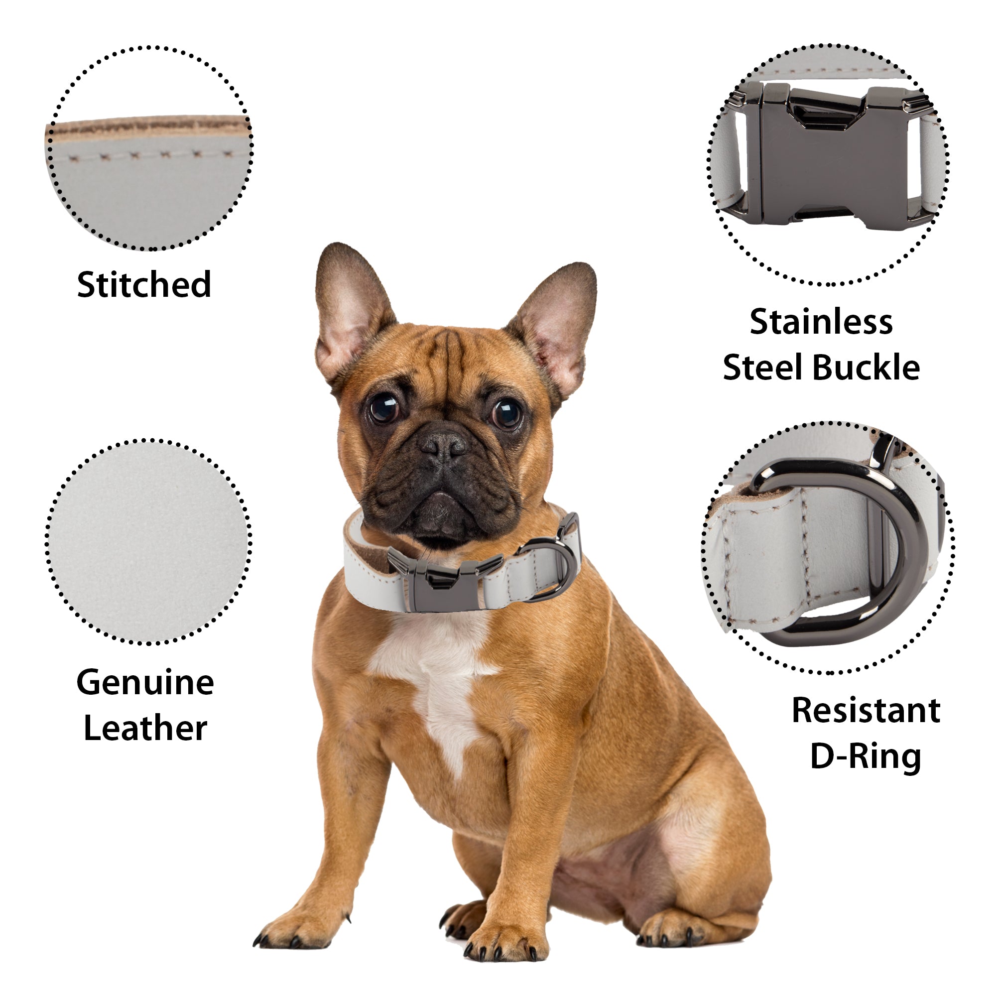 DelfiCase Genuine White Leather Adjustable Strong Dog Collar for Large Medium Small Dogs 2