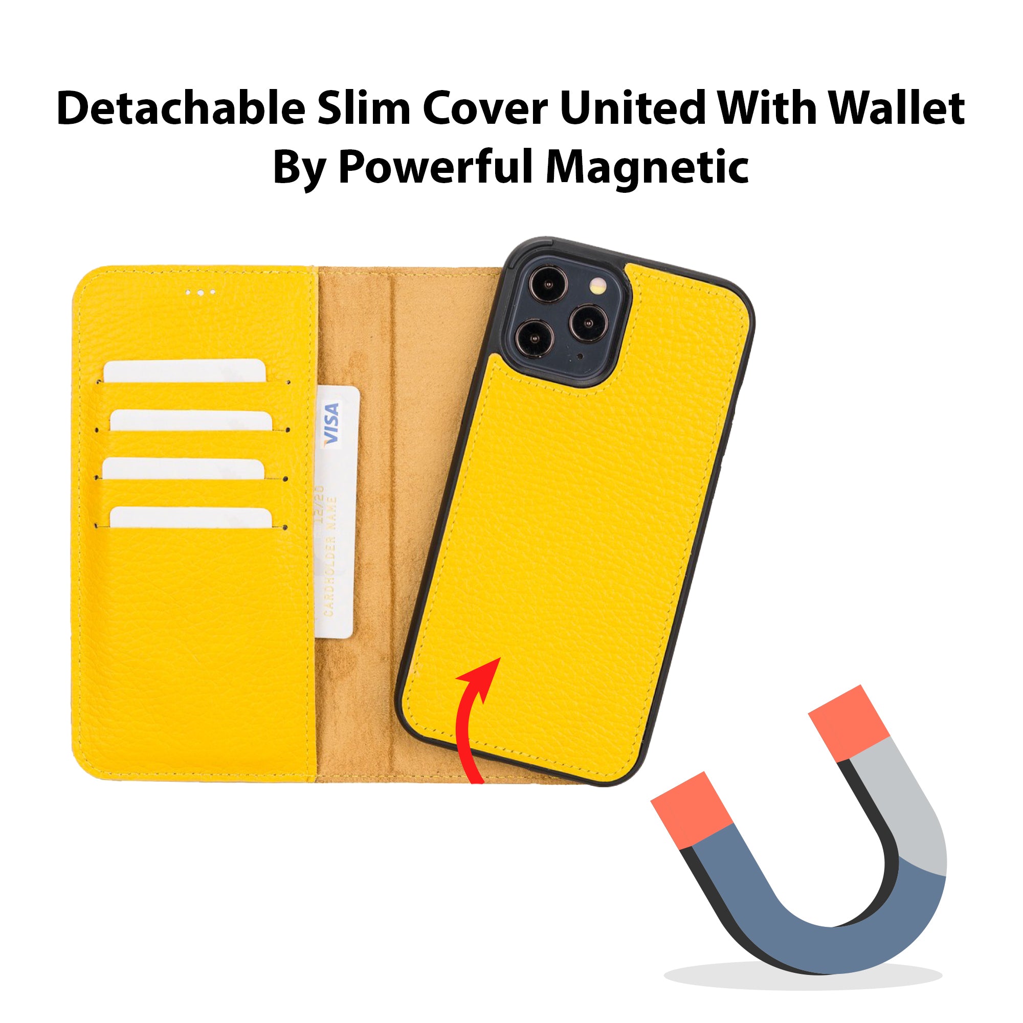 DelfiCase Leather Magnetic Detachable Wallet Case for iPhone 12 Pro Max (6.7") 11
