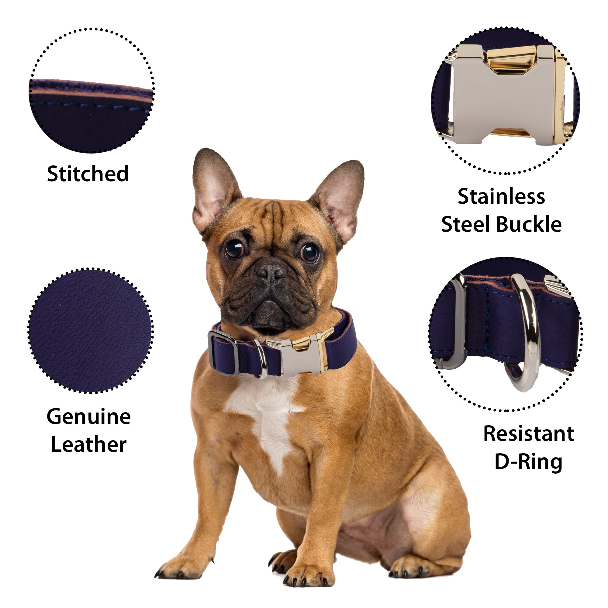DelfiCase Genuine Leather Adjustable Strong Dog Collar for Large Medium Small Dogs 109