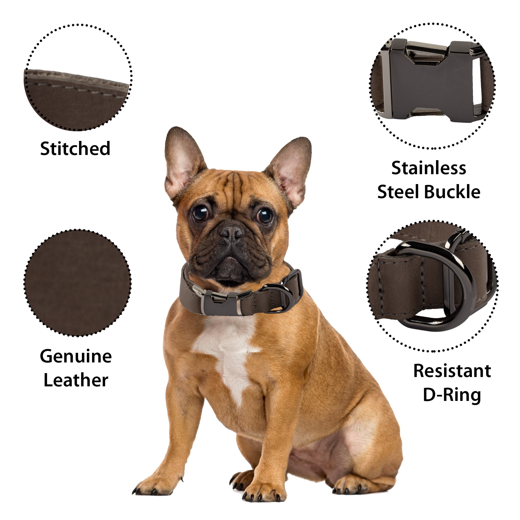 DelfiCase Genuine Leather Adjustable Strong Dog Collar for Large Medium Small Dogs 99