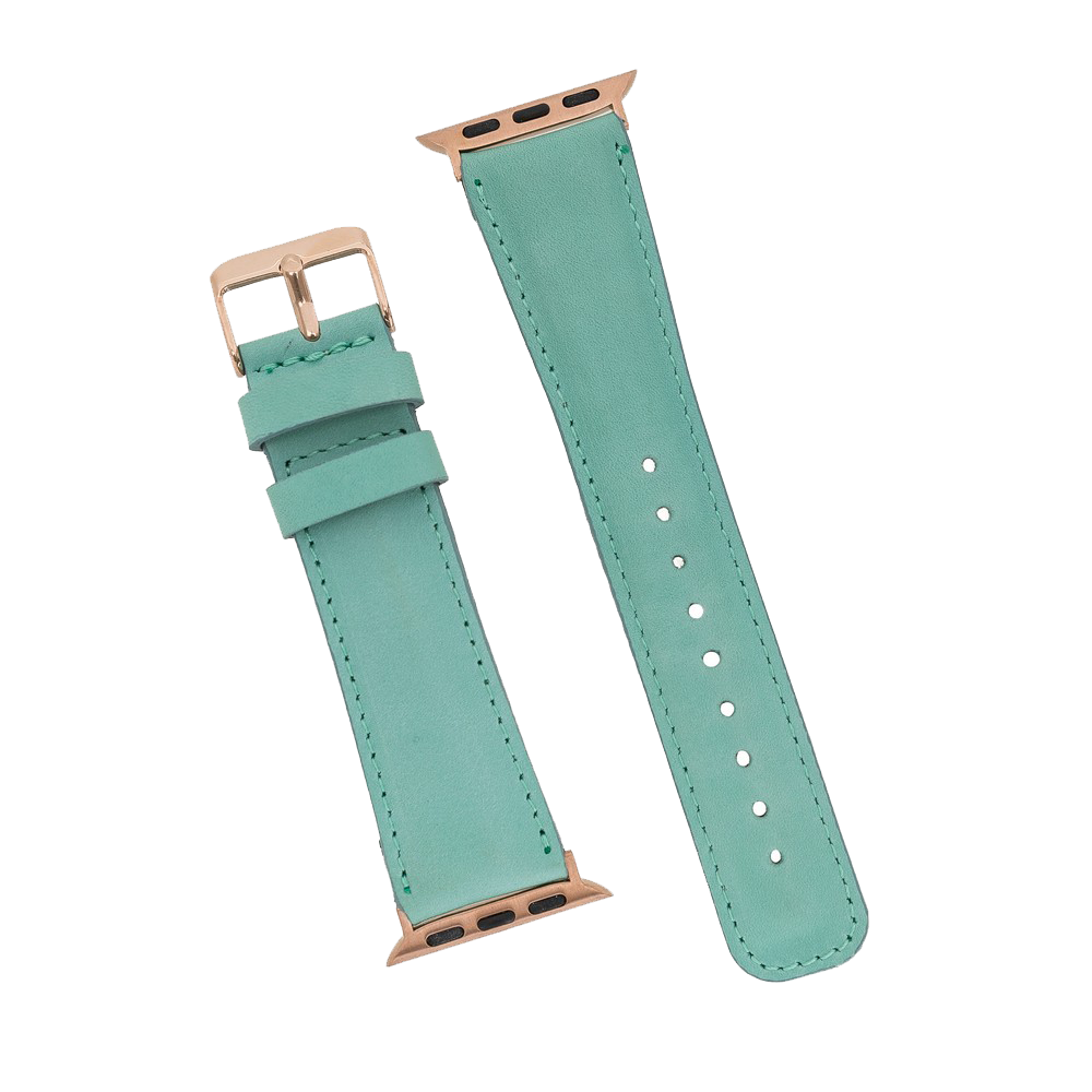 DelfiCase Liverpool Collection Leather Watch Band for Apple & Fitbit Versa Watch Band 52