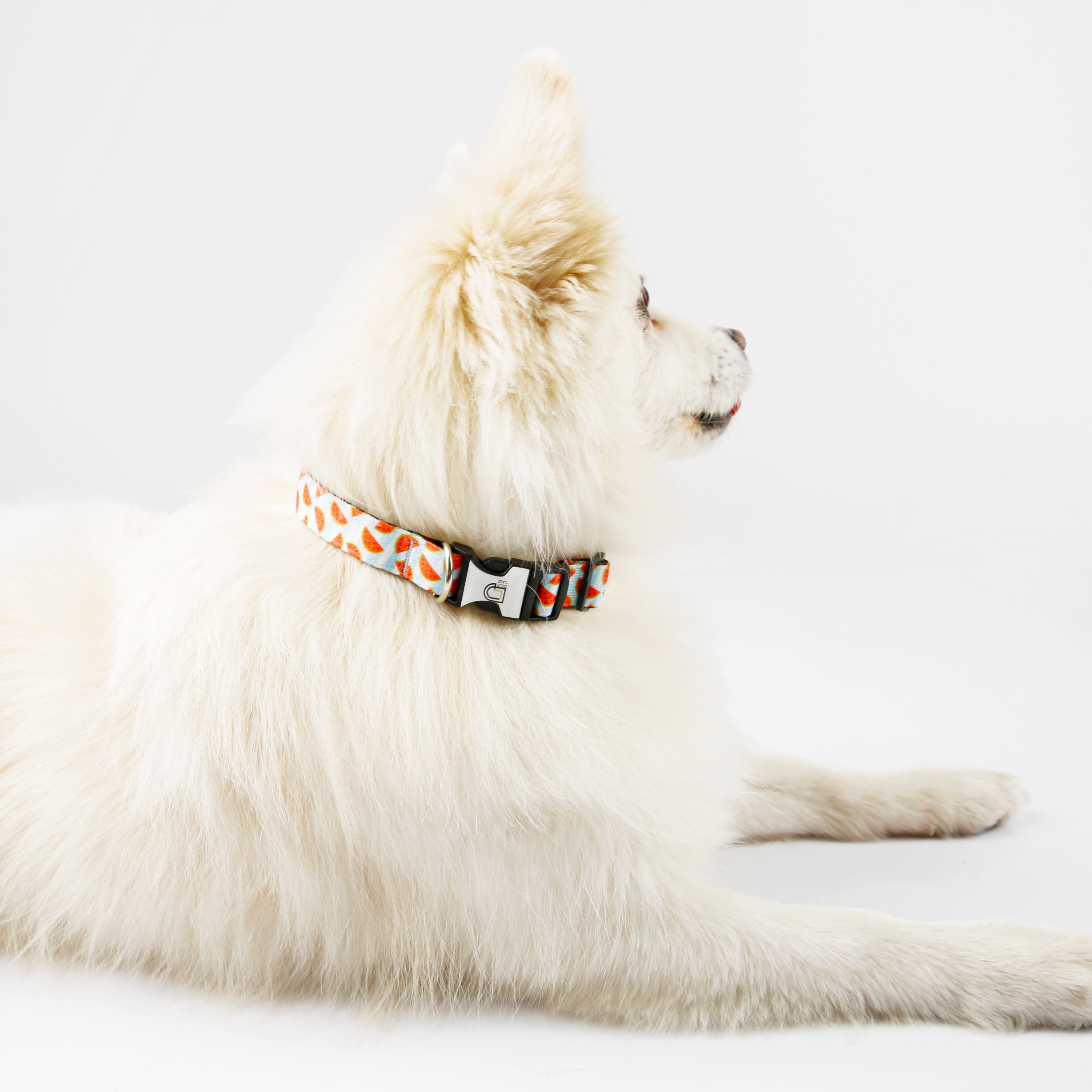 Fabric Patterned Adjustable Dog Collar